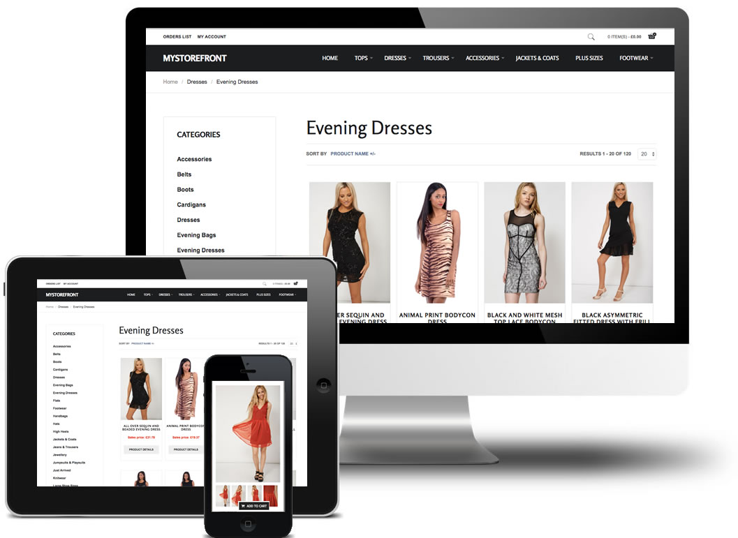 ecommerce dropshipping website